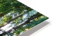 Listing HD Metal print
