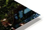 Fairport HD Metal print
