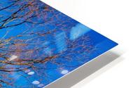 Seneca Springtime HD Metal print