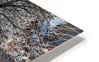 Iced Tree HD Metal print