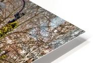 Bridge HD Metal print