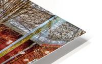 Shoen Pl HD Metal print