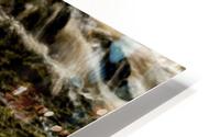 On the Rocks HD Metal print
