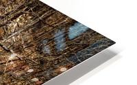 Layers HD Metal print