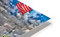 Highland Park 6 HD Metal print