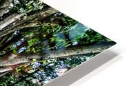 Highland Park 9 HD Metal print