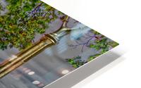 Highland Park 4 HD Metal print