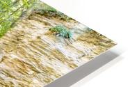 Eagle Cliff Falls 9 HD Metal print