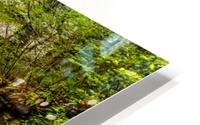 Eagle Cliff Falls HD Metal print