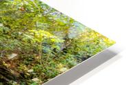 Eagle Cliff Falls 13 HD Metal print