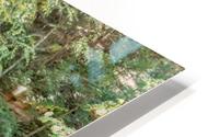 Eagle Cliff Falls 2 HD Metal print