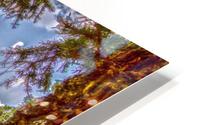 Lock 33 Park HD Metal print