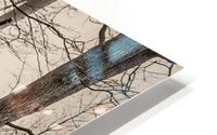 The Fallen HD Metal print
