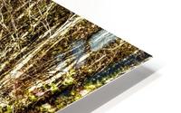 Stoney Brook Falls HD Metal print