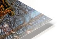 Rest Awhile HD Metal print