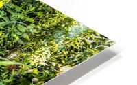 Nature Water Filter HD Metal print