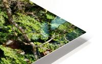 Carpenter Falls 7 HD Metal print