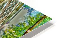 Skaneateles 2 HD Metal print