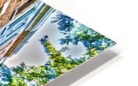 Skaneateles 4 HD Metal print
