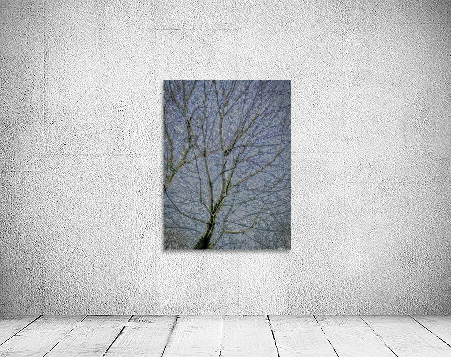 Frozen Tree Wall Preview