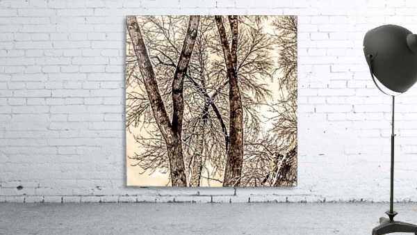 trees Wall Preview