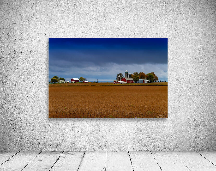 The Farm Wall Preview