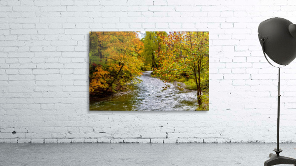 Outlet creek  Wall Preview