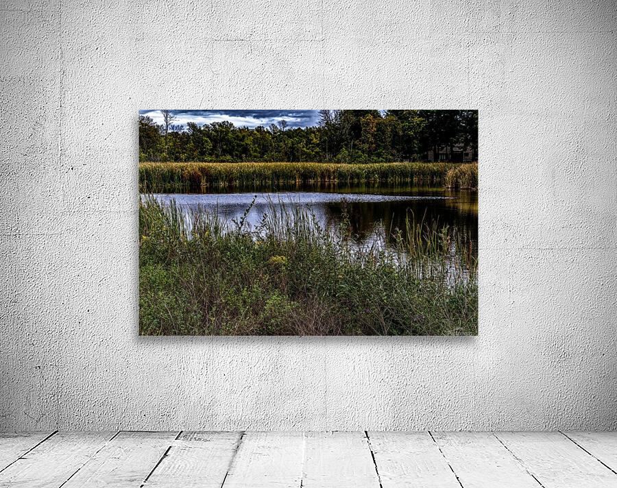 The Pond  Wall Preview