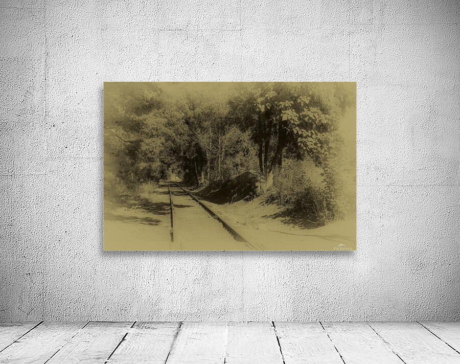 Walking the Rails Wall Preview