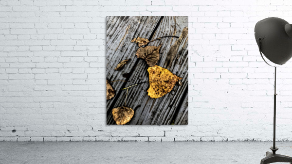 Autumn Wall Preview