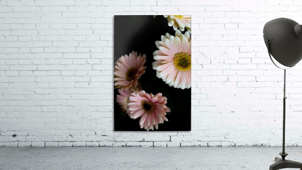 Daisy 3 Wall Preview