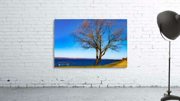 Seneca Springtime Wall Preview