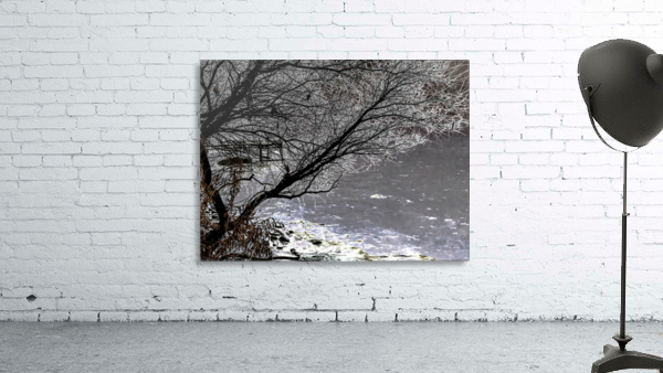 Iced Tree Wall Preview