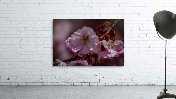 Spring Arrives Wall Preview