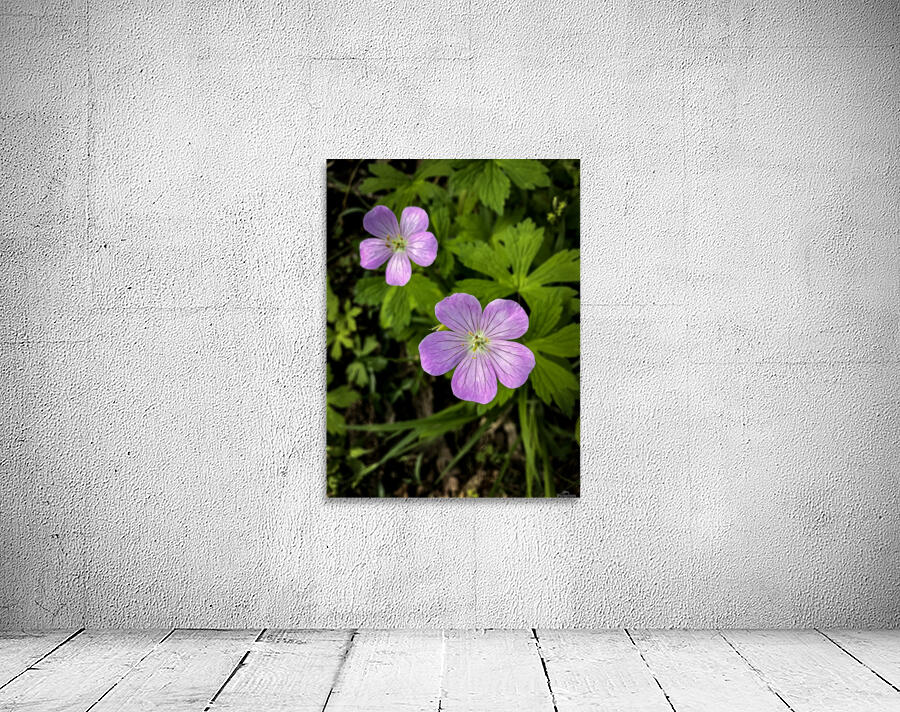 Wildflower Wall Preview
