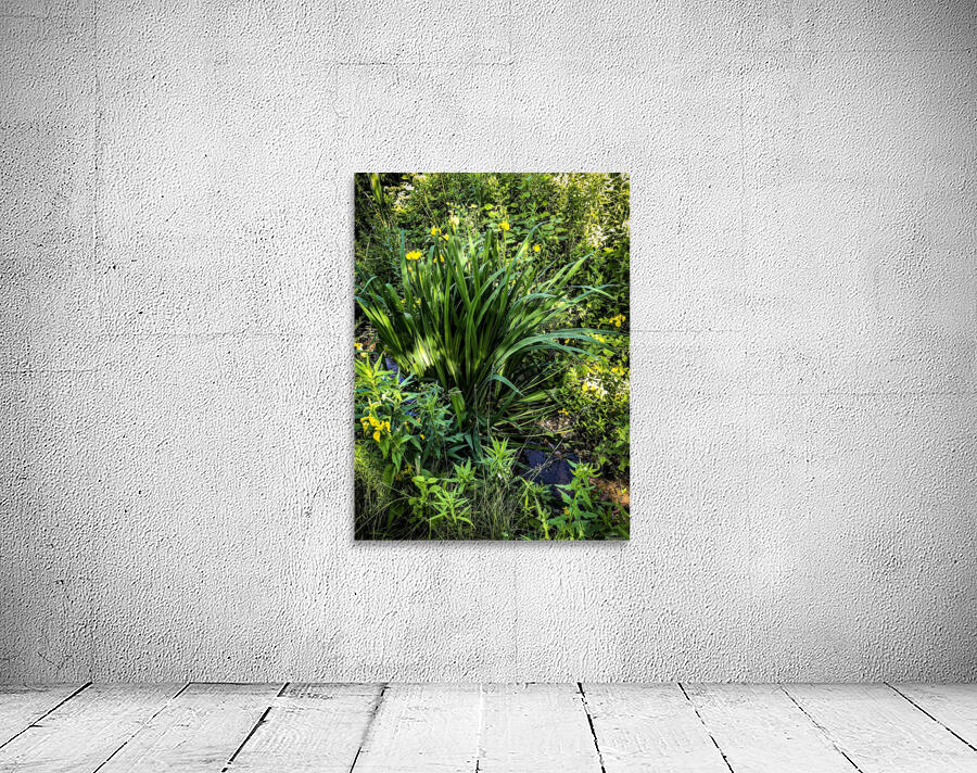 Nature Water Filter Wall Preview