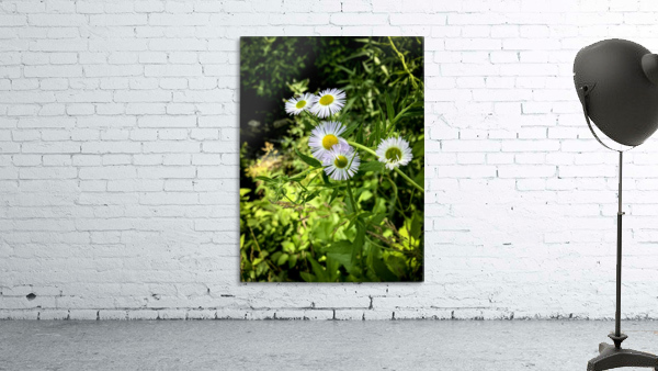 Wildflowers Wall Preview