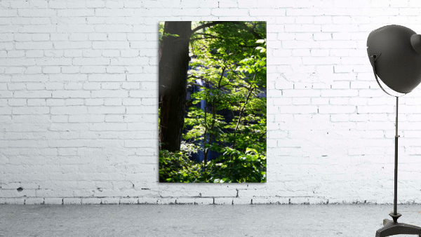 Carpenter Falls Wall Preview