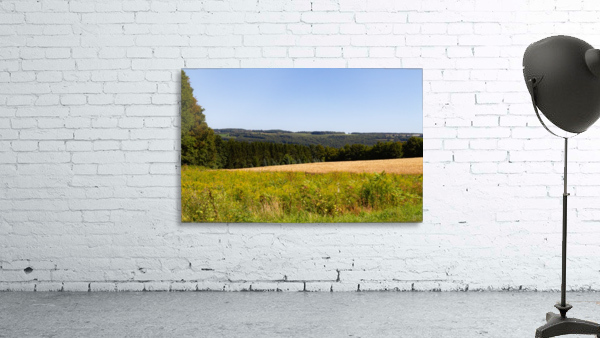 Carpenter Falls 8 Wall Preview