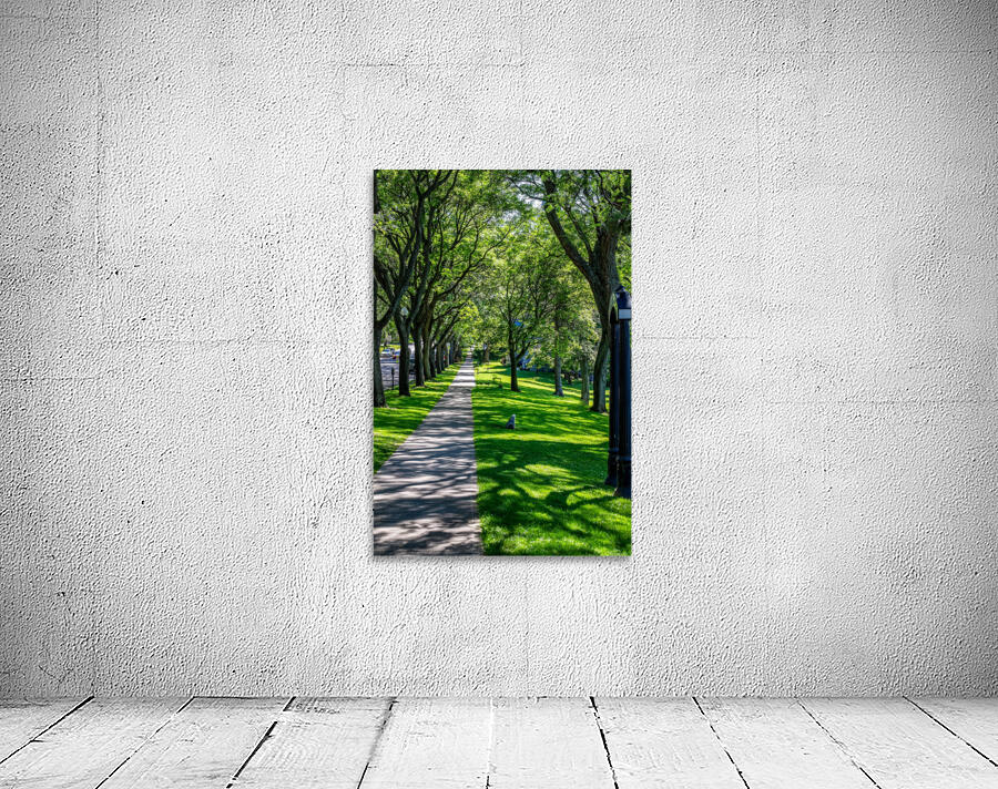Skaneateles 11 Wall Preview