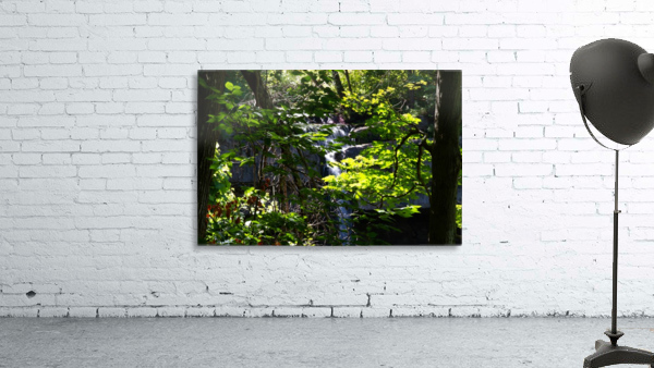 Carpenter Falls 3 Wall Preview