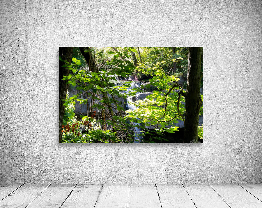 Carpenter Falls 2 Wall Preview