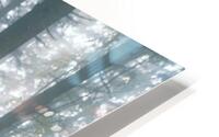 Picnic Woods HD Metal print