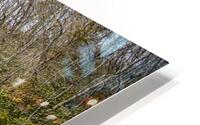 Woods by Creekside HD Metal print