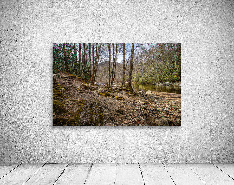 Woods by Creekside Wall Preview