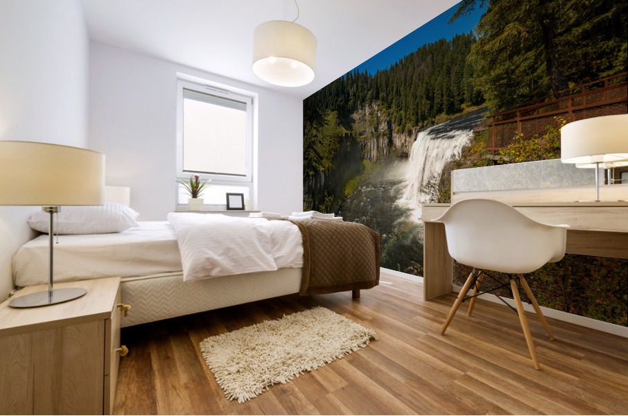 Upper Mesa Falls. Idaho. Mural print