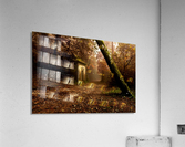 The enchanted trail Acrylic Print