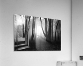 No mans land Acrylic Print