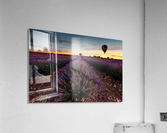 Fly away Acrylic Print