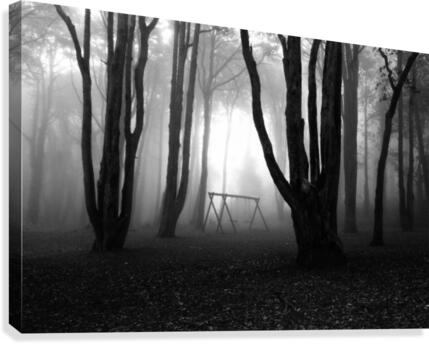 No mans land Canvas Print